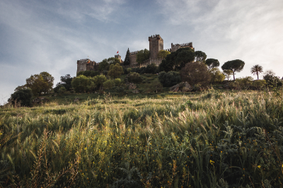 Almodovar del Rio, Spain