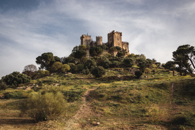 Almodovar Del Rio