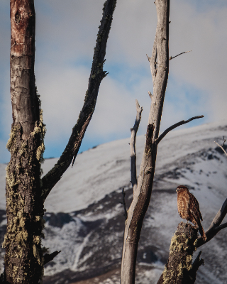 Bariloche