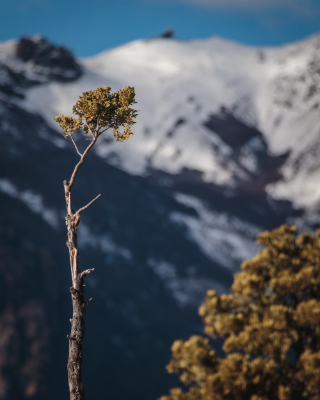 Bariloche