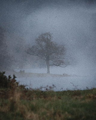 Bassenthwaite