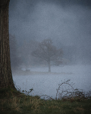 Bassenthwaite