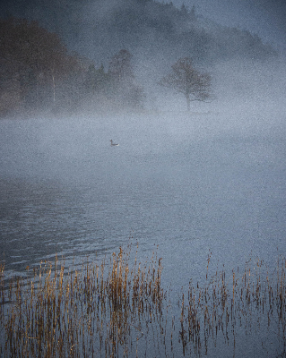 Bassenthwaite