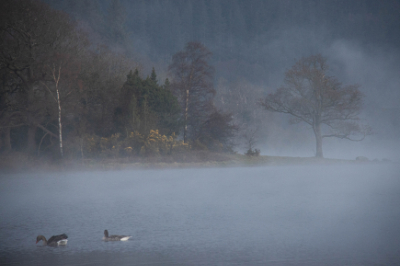 Bassenthwaite