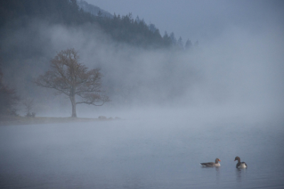 Bassenthwaite