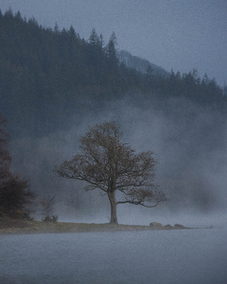 Bassenthwaite