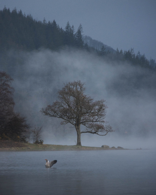 Bassenthwaite