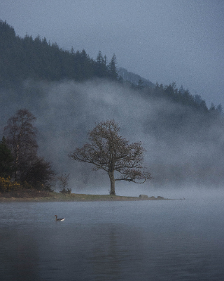 Bassenthwaite