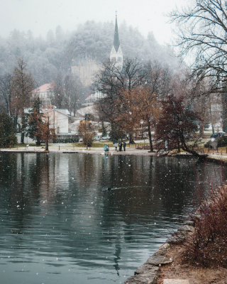 Bled