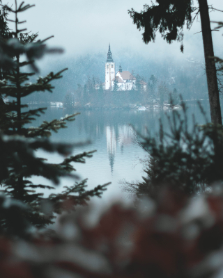 Bled