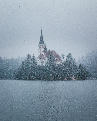 Bled