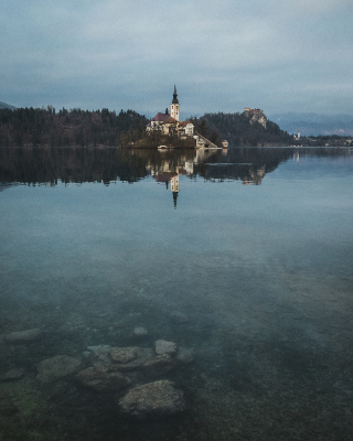 Bled