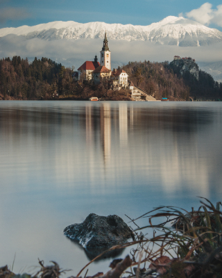 Bled