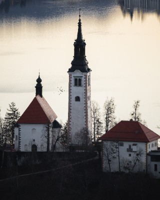 Bled