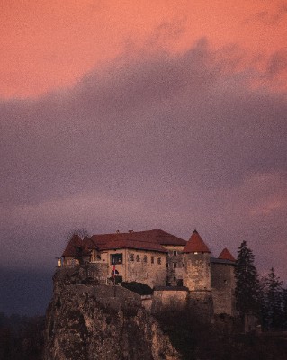 Bled