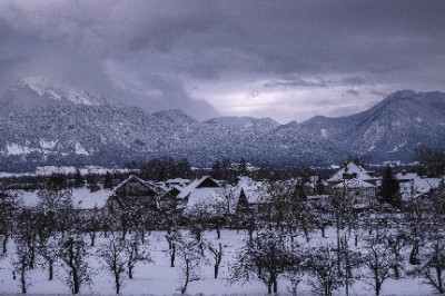 Bled
