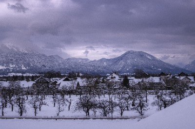 Bled