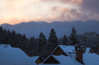 Bled