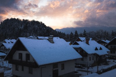 Bled