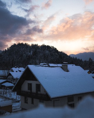 Bled