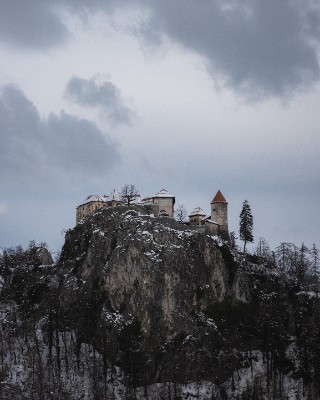 Bled
