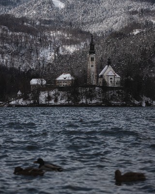 Bled