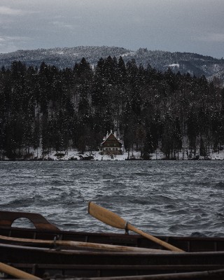 Bled