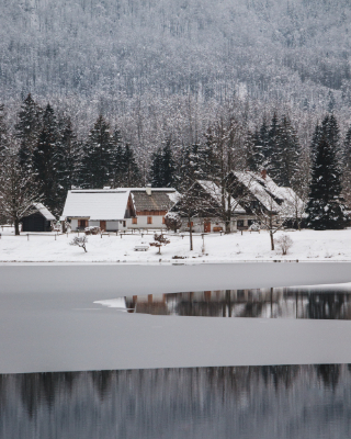 Bohinj