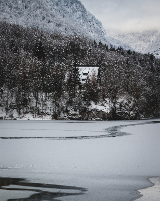 Bohinj