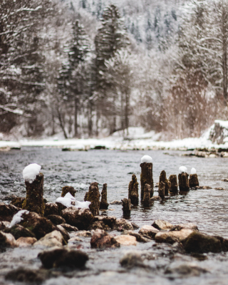 Bohinj