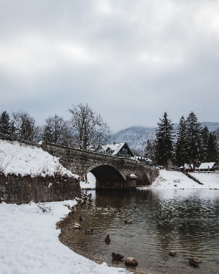 Bohinj