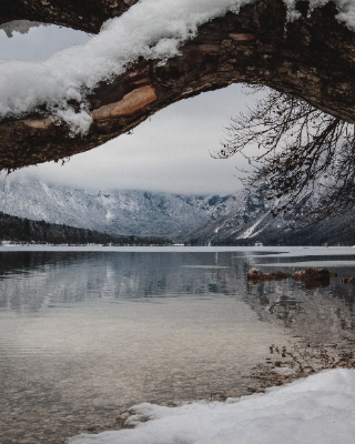 Bohinj