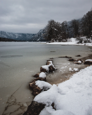 Bohinj
