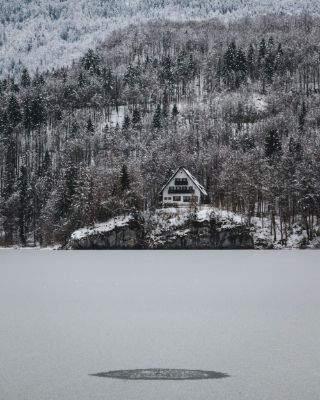 Bohinj