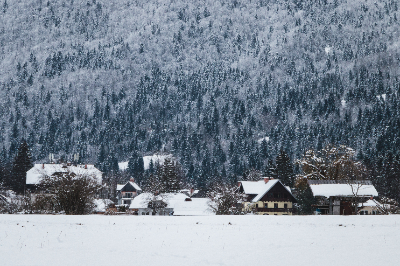Bohinj
