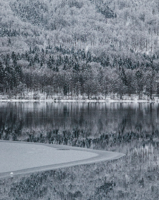 Bohinj