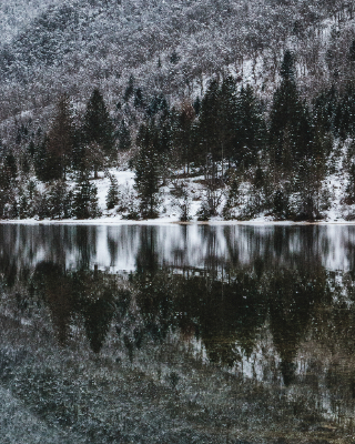 Bohinj