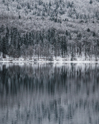Bohinj