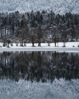 Bohinj