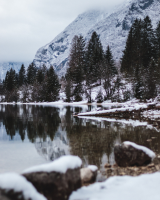 Bohinj