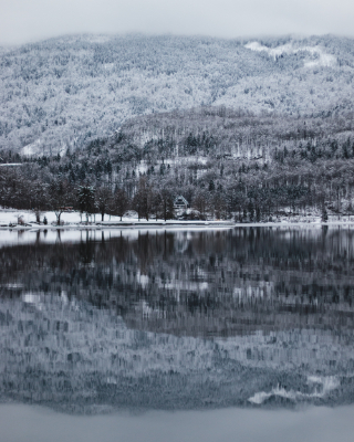Bohinj