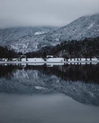 Bohinj