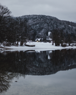 Bohinj