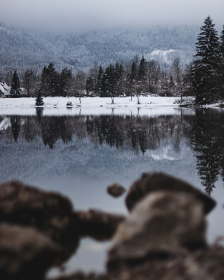 Bohinj