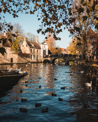 Bruges