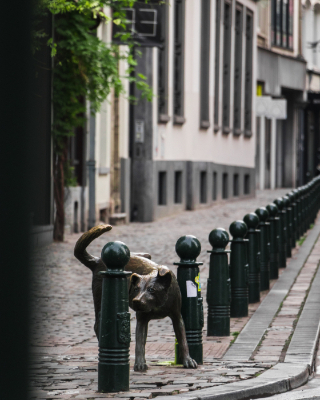 Brussels