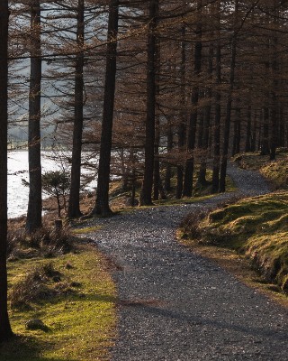 Buttermere
