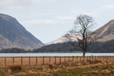 Buttermere