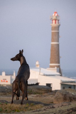 Cabo Polonio