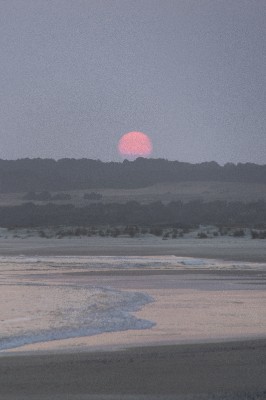 Cabo Polonio